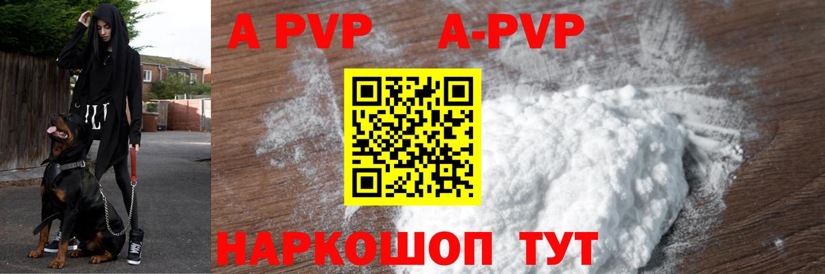 Alfa_PVP СК Верхняя Пышма