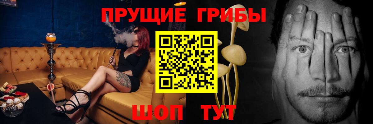 Верхняя Пышма  Псилоцибиновые грибы GOLDEN TEACHER  Вход с VPN 
